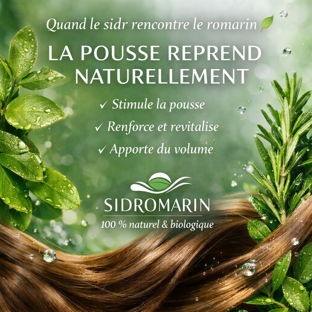 Cure capillaire 100 % naturelle & biologique
Sidr & Romarin – Volume, Force, Densité